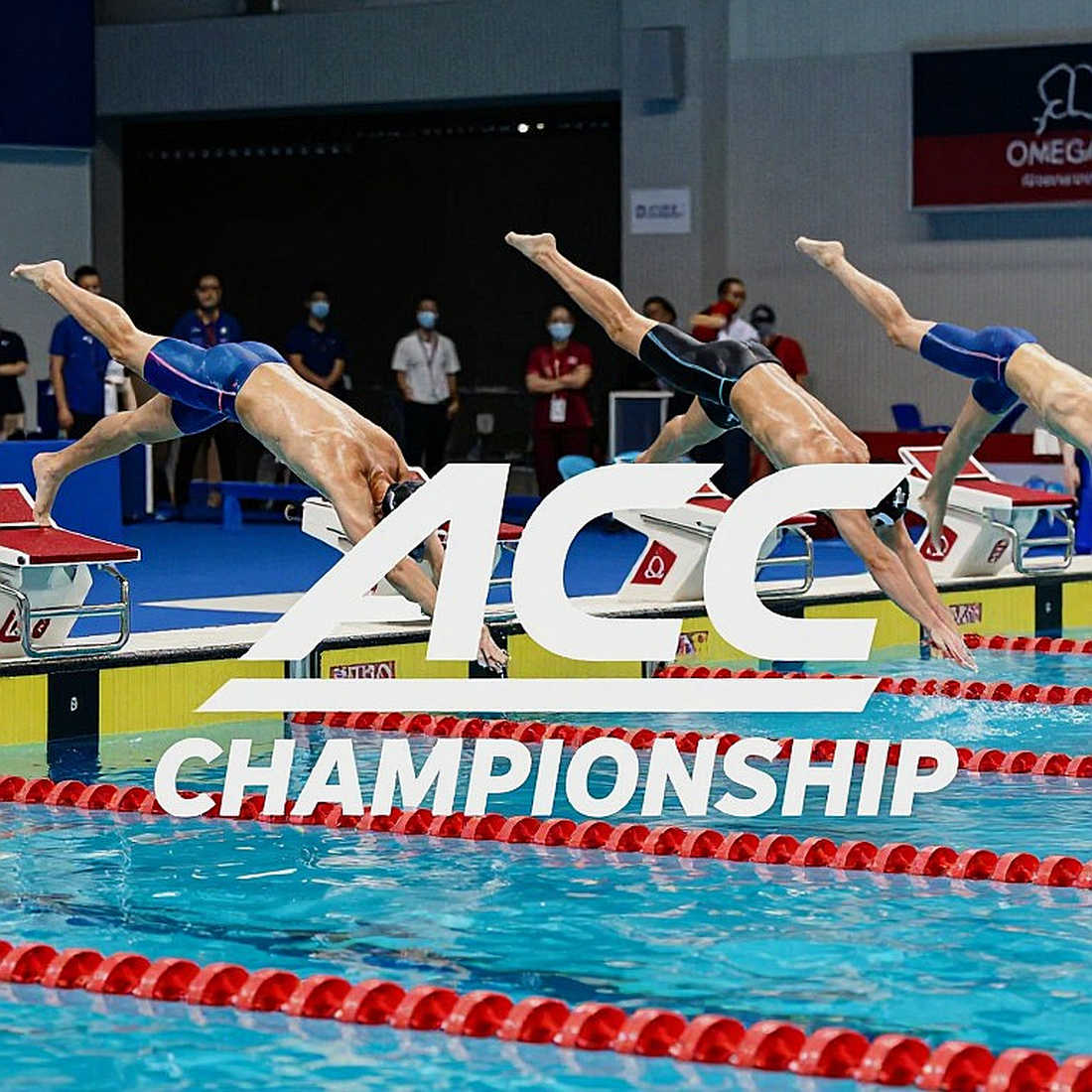 ASCA World Clinic 2026: Lằn Ranh Giữa Chứng Chỉ Cũ và Kỷ Nguyên Mới – 3 Giờ Nhỏ Giọt Của Behm và Troy ASCA World Clinic 2026: Lằn Ranh Giữa Chứng Chỉ Cũ và Kỷ Nguyên Mới – 3 Giờ Nhỏ Giọt Của Behm và Troy